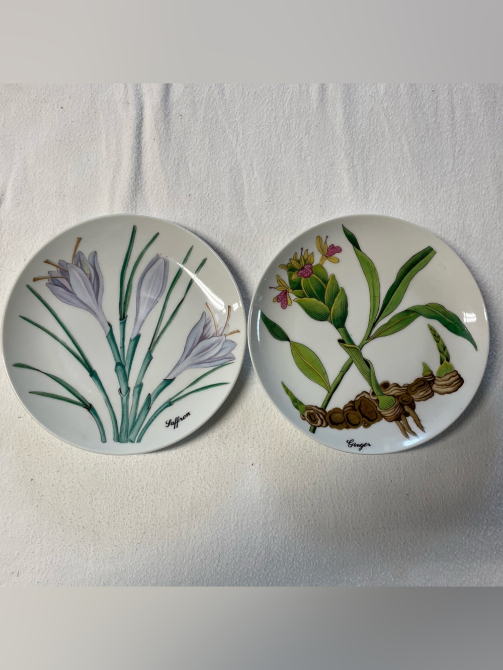 Shafford Japan Vintage Saffron & Ginger Design Plates Set of 2